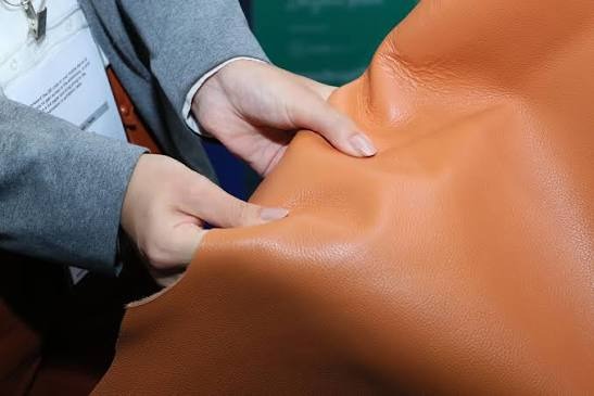 Brazil Leather Exports Total US$544.1 Million in H1 2026; Ju