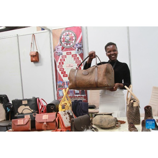Zimbabwean leather producers eye china market as zero-tariff policy takes effect