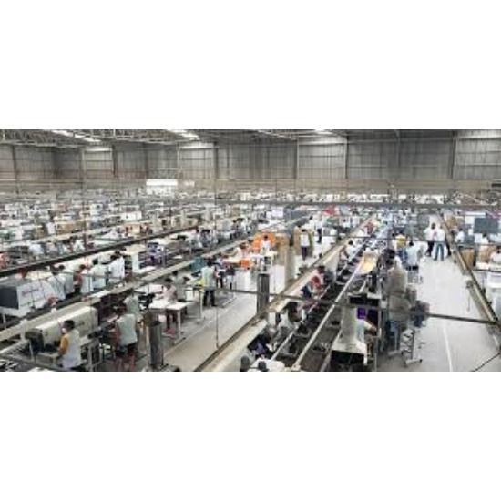 Brazil's footwear industry feels pressure as imports surge 90% in five years