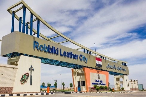 Egypt's Cabinet Greenlights $12 Million Leather and Footwear Manufacturing Project