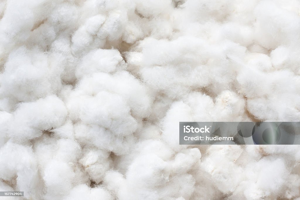 Indian Govt exempts customs duties on cotton import