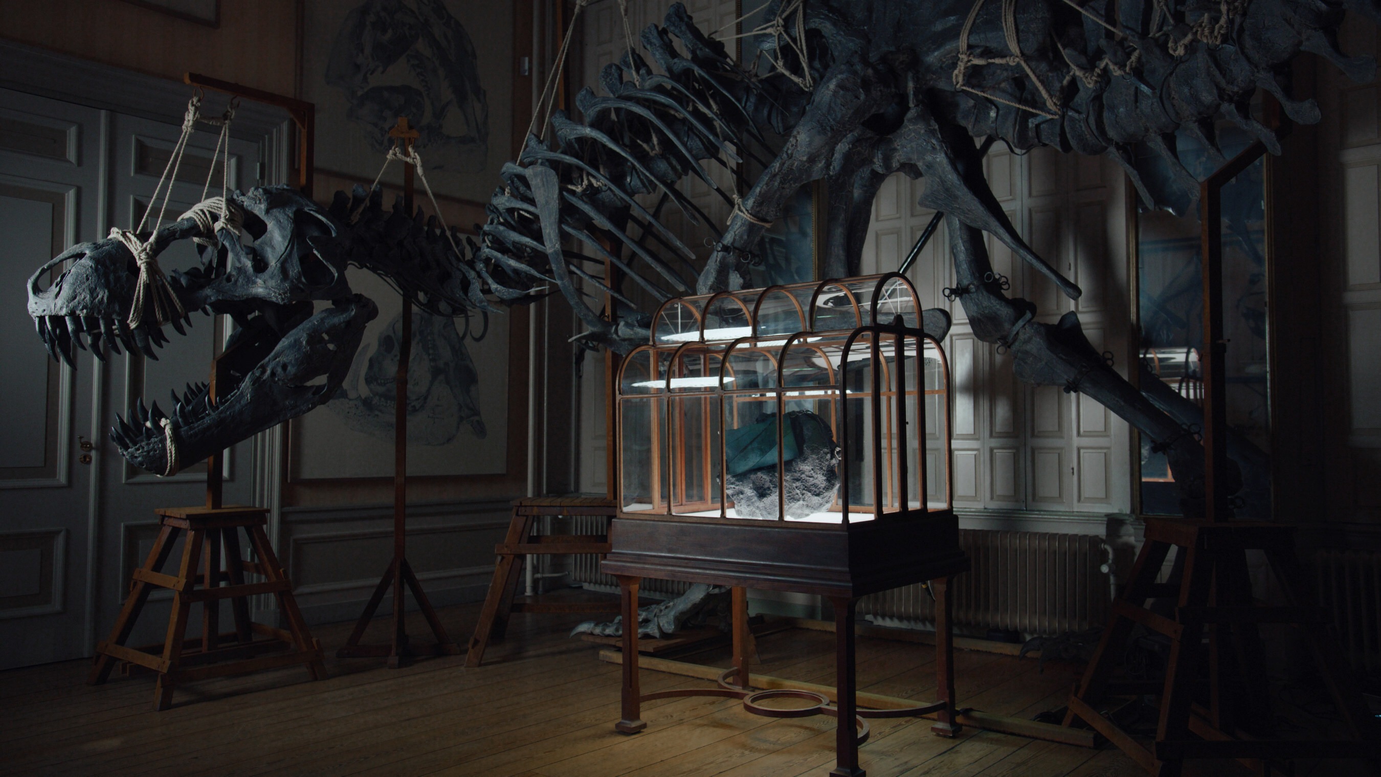 Biotech venture unveils luxury handbag crafted from lab-grown dinosaur leather