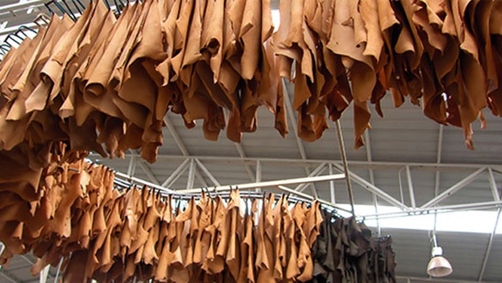 Bangladesh Leather Industry proposes 13-point industry reviv